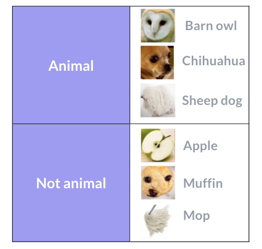 Test images used for classification: barn owl, chihuahua, mop, muffin, pineapple, sheepdog